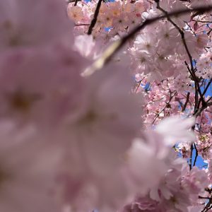 IMG_5618
